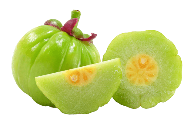 Garcinia cambogia ekstrakt
