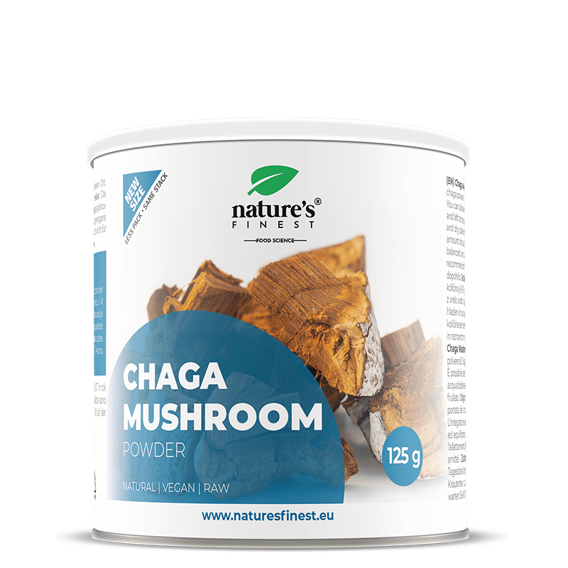 Chaga gljiva u prahu