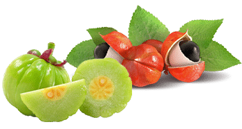 Guarana i Garcinia Cambogia