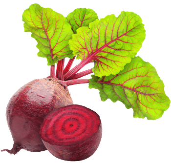 Crvena repa