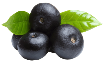 Acai bobice