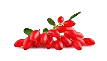 Rebersa® (ekstrakt berberina)