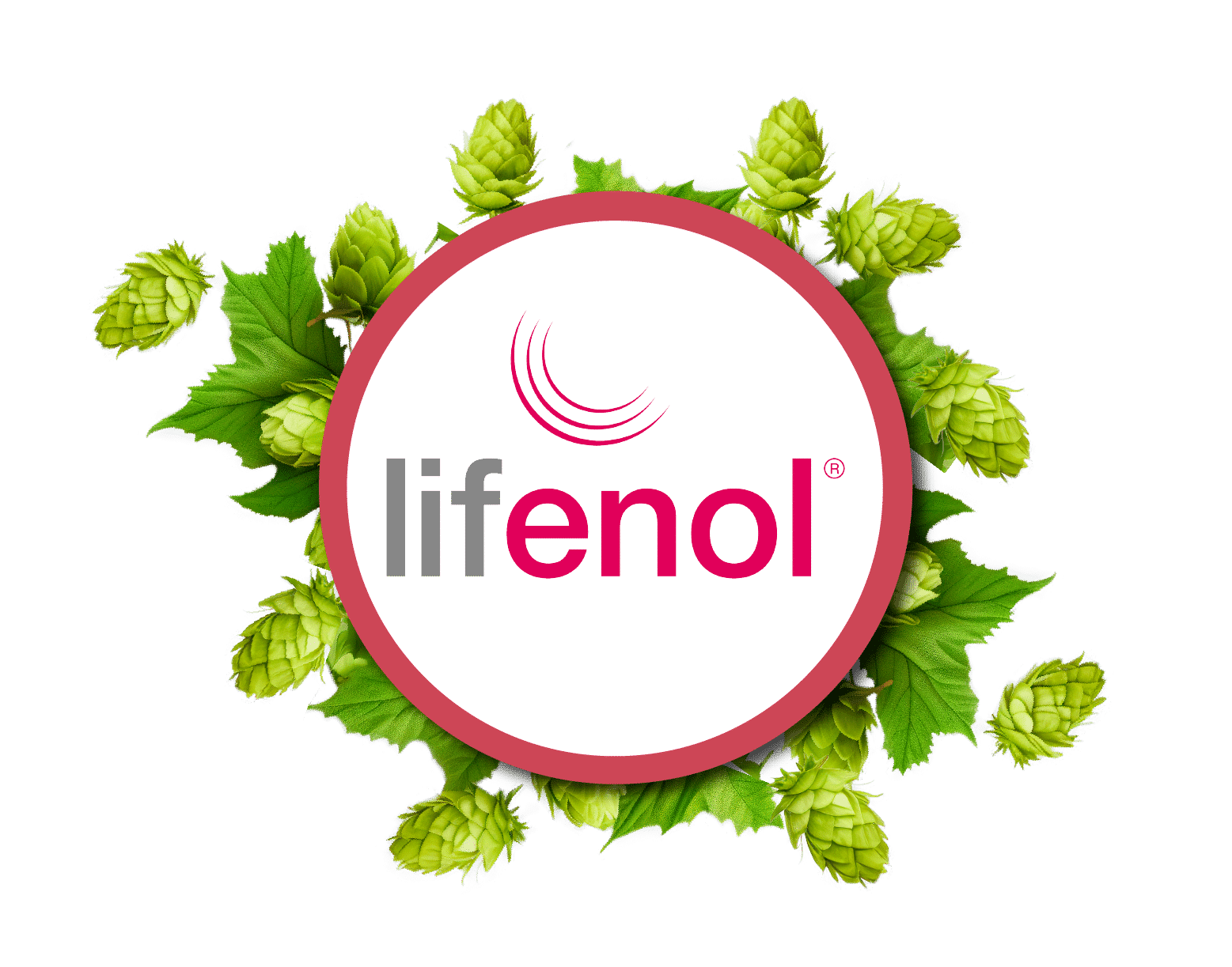 Slika opcije proizvoda