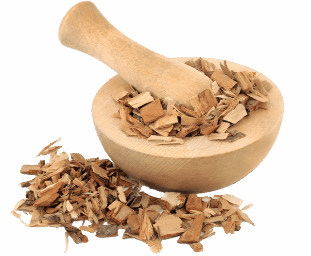Sabal palmetto
