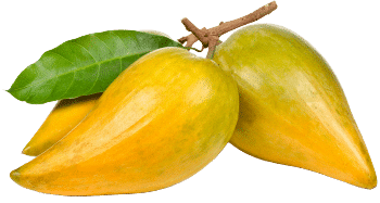 Lukuma