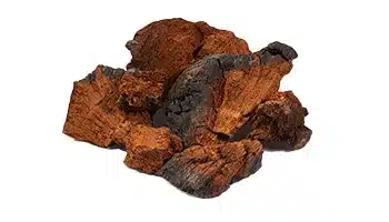 Čaga u prahu