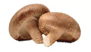 Ekstrakt plodnog tijela shiitake